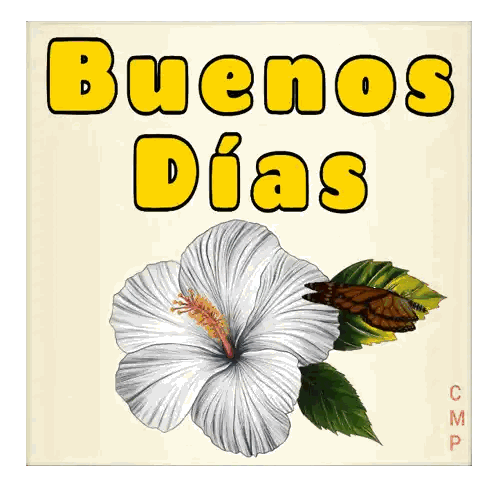 Flower Butterfly Buenos Dias