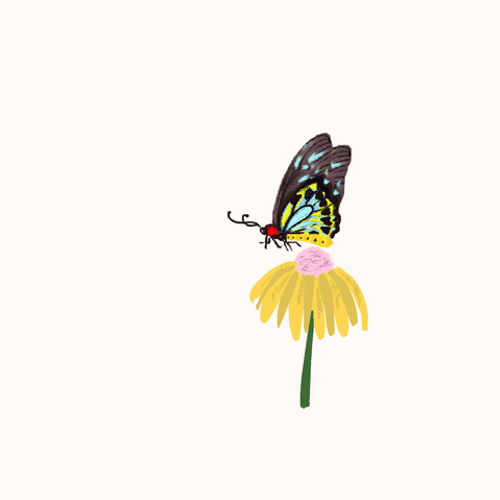 Flower Flying Butterfly Animation GIF