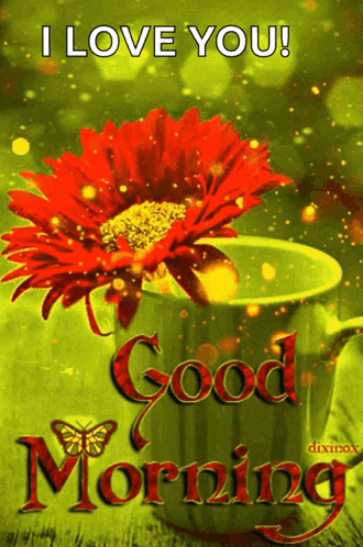 Flower In Cup Saying I Love You GIF