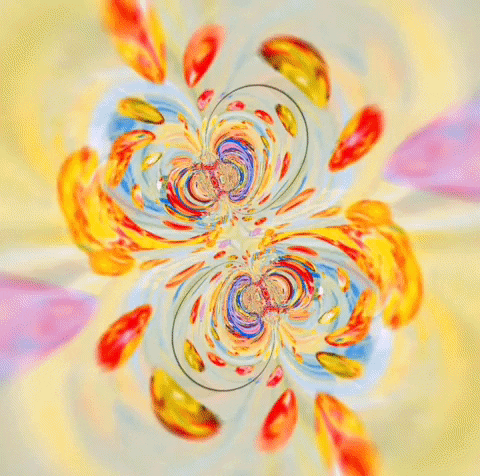 Flower Pattern Hypnosis Spiral GIF