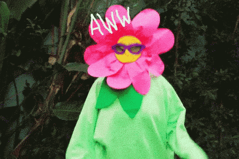 Flower Power Rainbow Gif GIF
