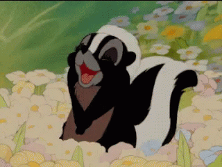 Flower Skunk From Bambi GIF