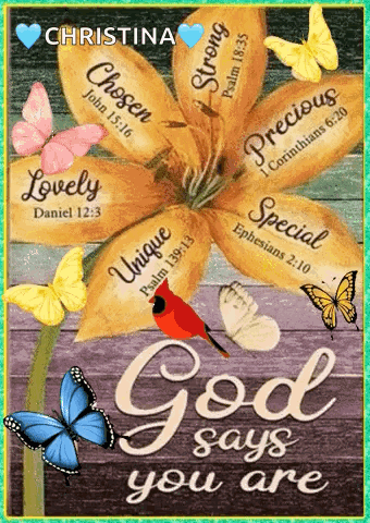 Flower With Butterflies And Bible Verses GIF