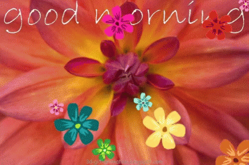 Flower With Good Morning GIF