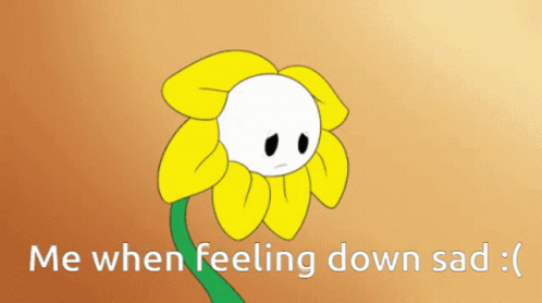 Flower With Me When Feeling Down Sad