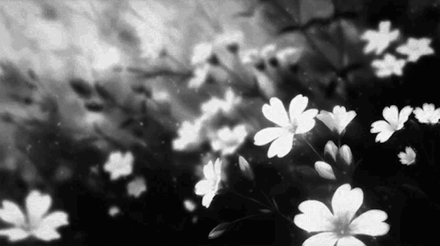 Flowers Black And White Aesthetic Gif GIF