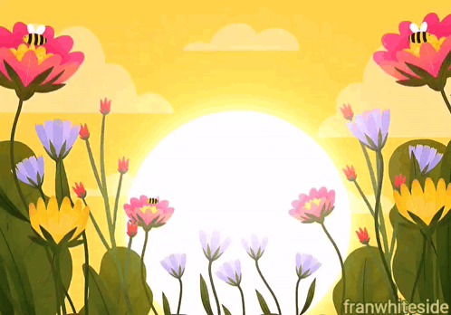 Flowers Franwhiteside GIF