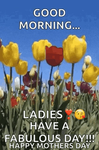 Flowers Good Morning Ladies Happy Mothers Day