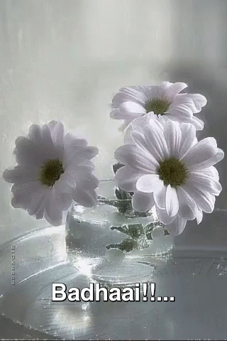 Flowers In A Vase Badhaai GIF
