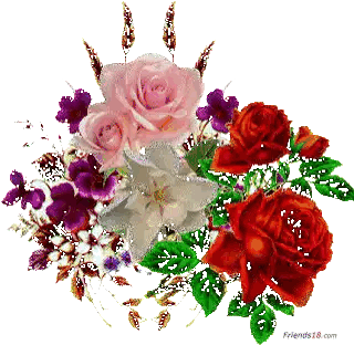Flowers on White Background