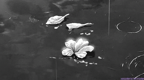 Flowers Rain Gif Dark Aesthetic GIF