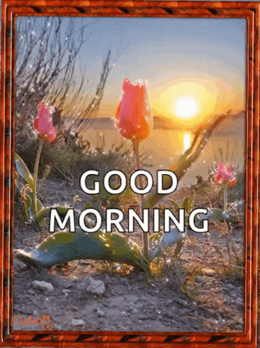 Flowers Saying Good Morning