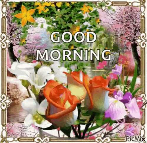 Flowers Saying Good Morning GIF
