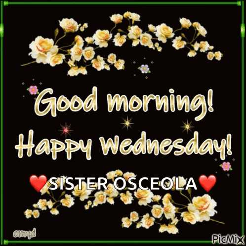 Flowers Saying Good Morning Wednesday Sister Osceola
