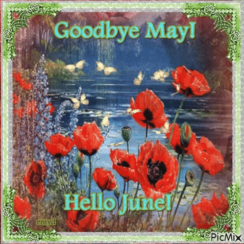 Flowers Saying Goodbye May Hello June GIF
