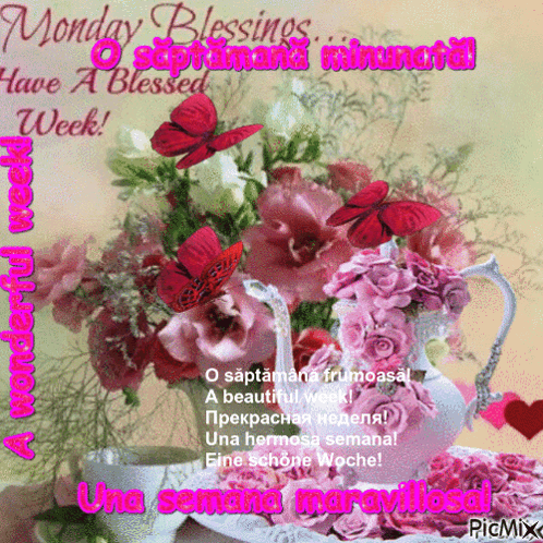 Flowers Saying Monday Blessings