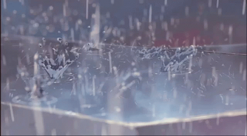 Flowers Splashing