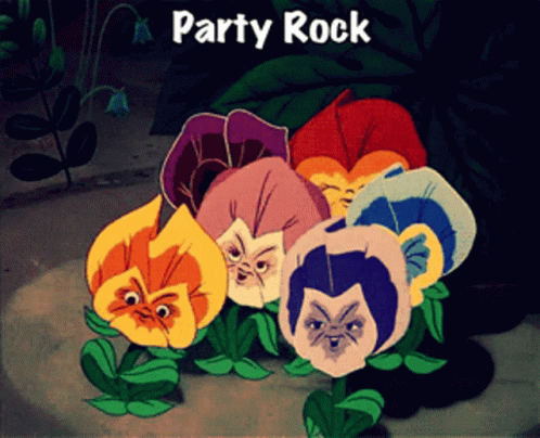 Flowers with Faces Party Rock