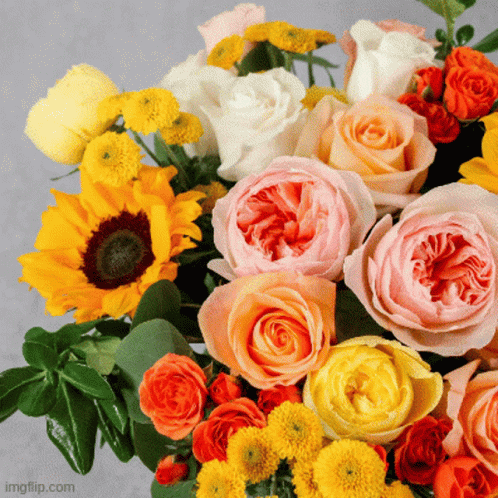Flowers with Imgflip.com Text