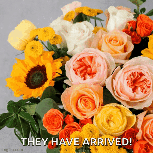 Flowers With They Have Arrived Text