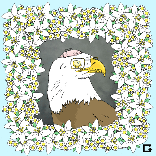 Flowery Frame Bald Eagle GIF