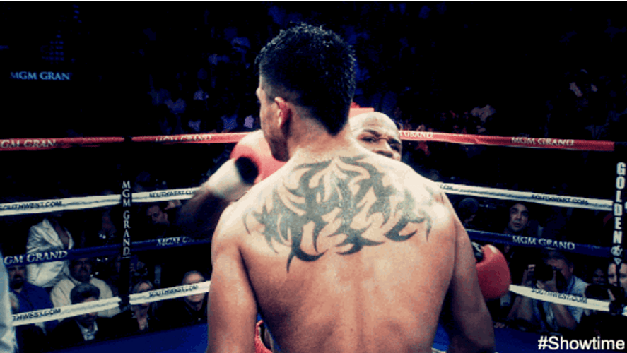Floyd Mayweather Knocking Out Opponent GIF