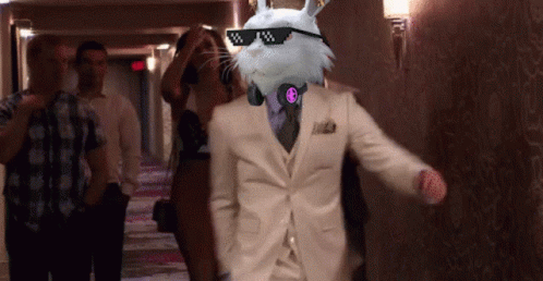 Fluf World Conor Mcgregor Walk GIF