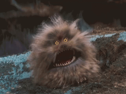 Fluffy Animal With Yellow Eyes and Sharp Teeth Looks Scared