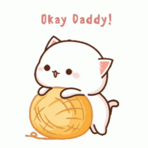 Fluffy Cat Okay Daddy GIF
