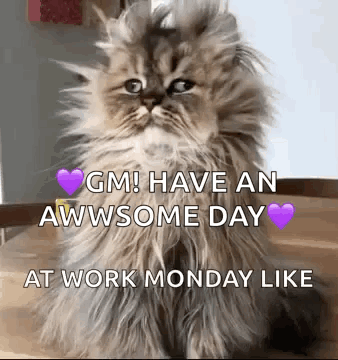 Fluffy Cat Saying Have an Awesome Day
