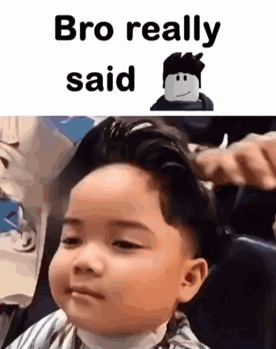 Fluffy Cat Ugh Really GIF