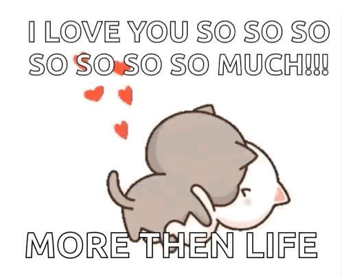 Fluffy Cat Wishing Happy Valentines Day