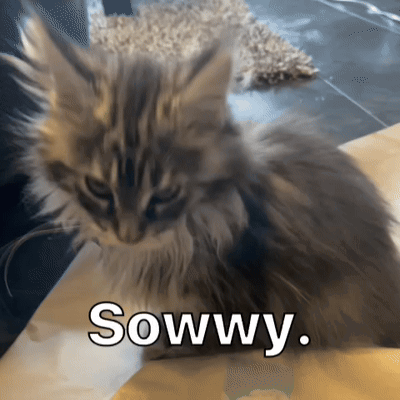 Fluffy Kitten Sowwy