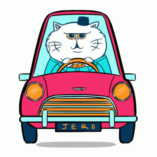 Fluffy White Cat Driving Cartoon GIF 