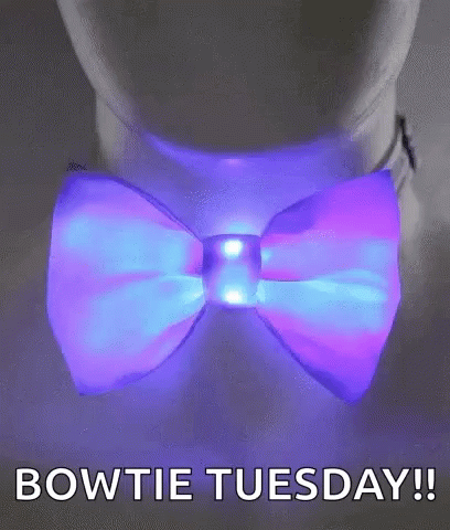 Fluffy White Dog With Red Bow Tie GIF