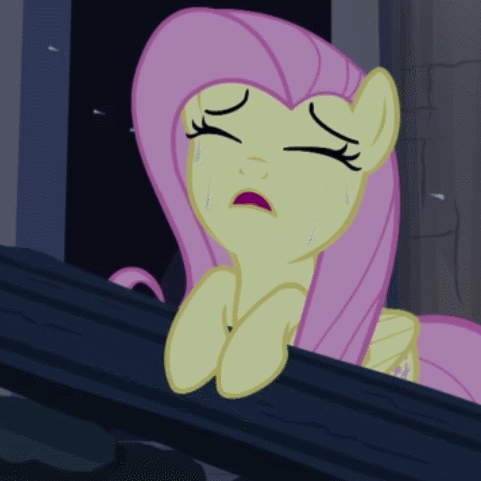 Fluttershy Crying All Night GIF