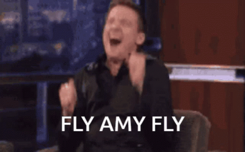 Fly Amy Fly