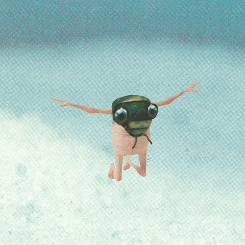 Fly Head Soaring Naked Mobile Art GIF