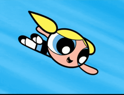 Fly In Santa Hat Every Day's Xmas GIF