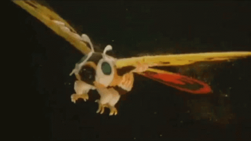 Flying Around Mothra GIF