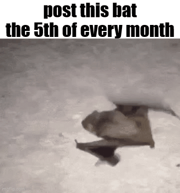 Flying Bat With Post Reminder GIF