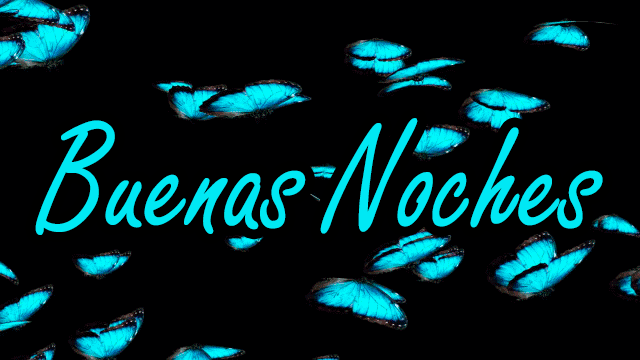 Flying Beautiful Blue Butterflies Linda Noche Buenas Noches GIF