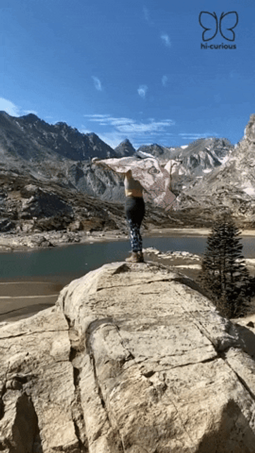 Flying Butterfly Cliff Hi Curious GIF