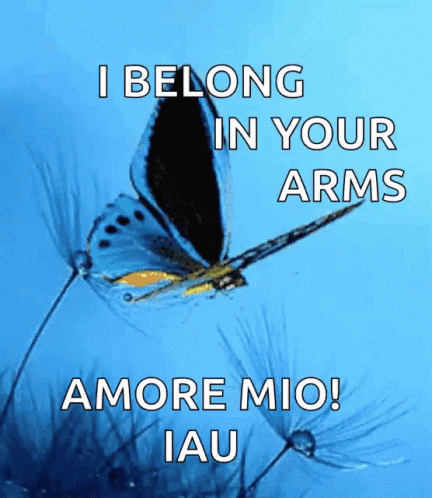 Flying Butterfly I Belong Your Arms GIF