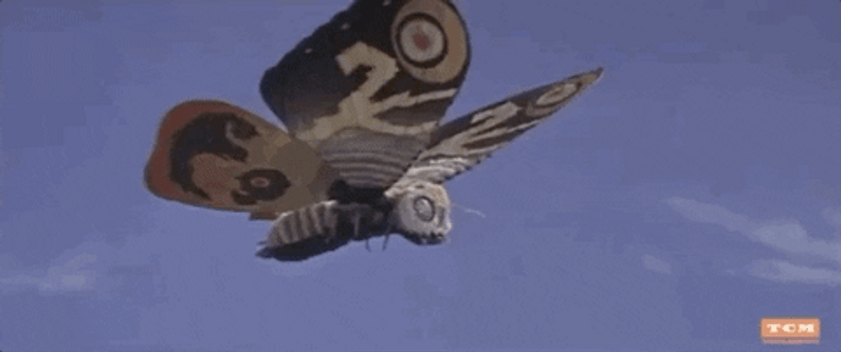 Flying Butterfly Inoshiro Honda Turner Classic GIF