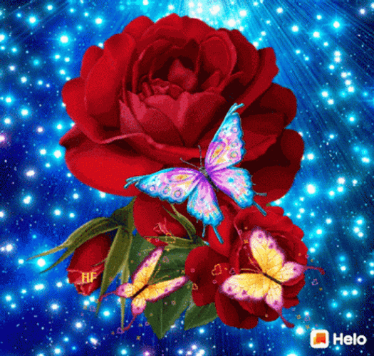 Flying Butterfly Rose Starry GIF