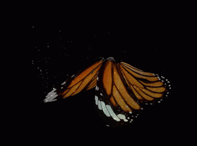 Flying Butterfly Sparkling Glowing GIF