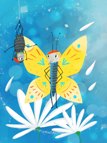 Flying Butterfly Spring Spider GIF
