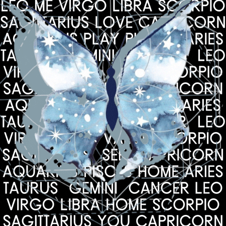 Flying Butterfly Starry Wings GIF