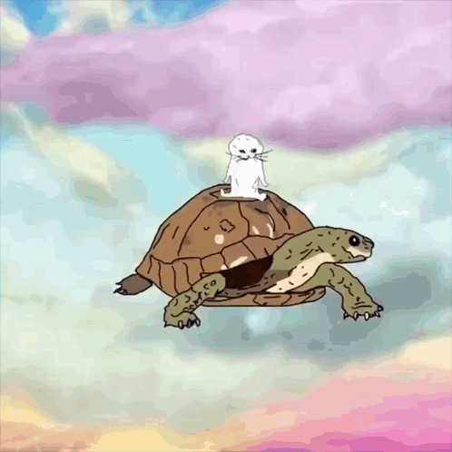 Flying Cartoon Turtle And Cat GIF